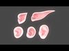 Versatile Ear Base Mesh Pack - 5 Stylized and Realistic Ears  3D model_2