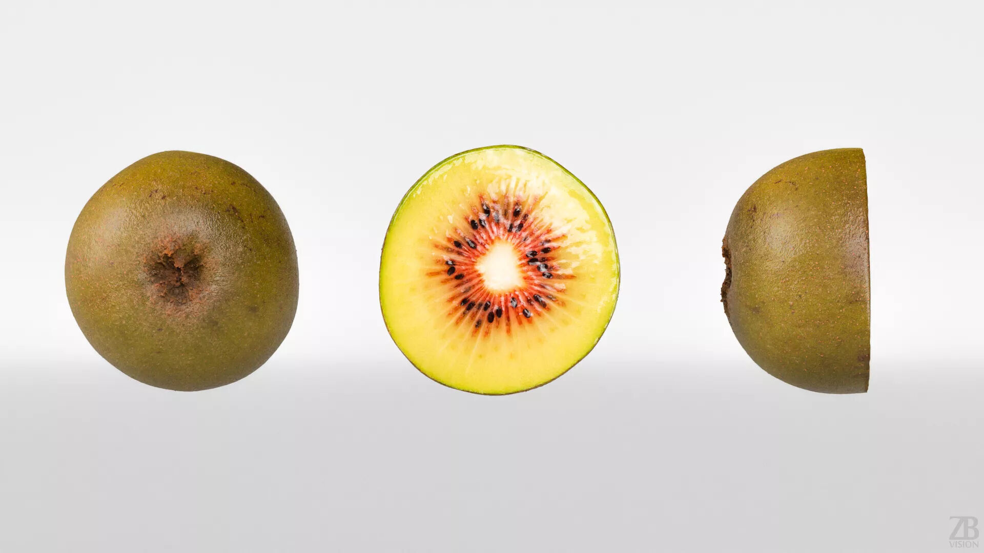 Kiwi  3D model_4