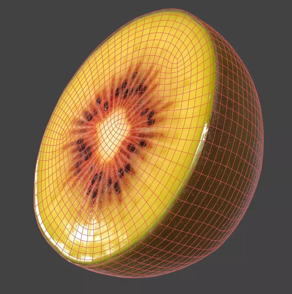 Kiwi  3D model_6