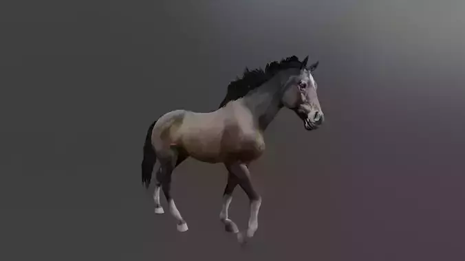 Rigged and Animated Brown Horse