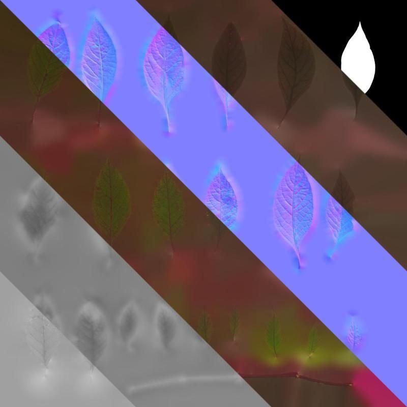 Anydrafts Alternanthera brasiliana Leaf 01 Texture_8