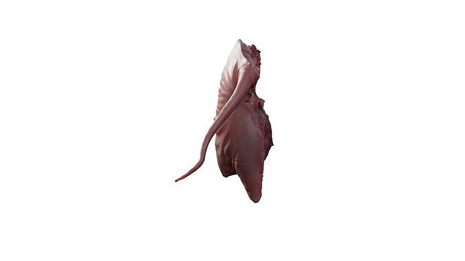 Anydrafts Pork ham 02 Low-poly 3D model 3