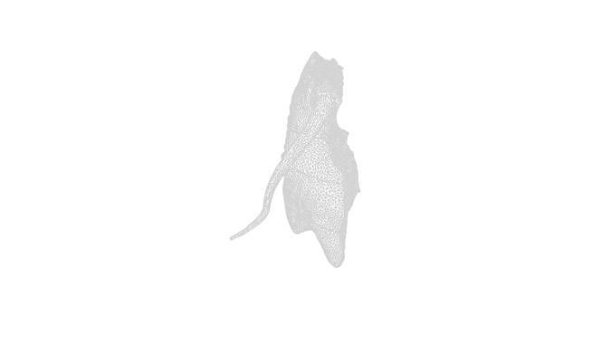 Anydrafts Pork ham 02 Low-poly 3D model 4