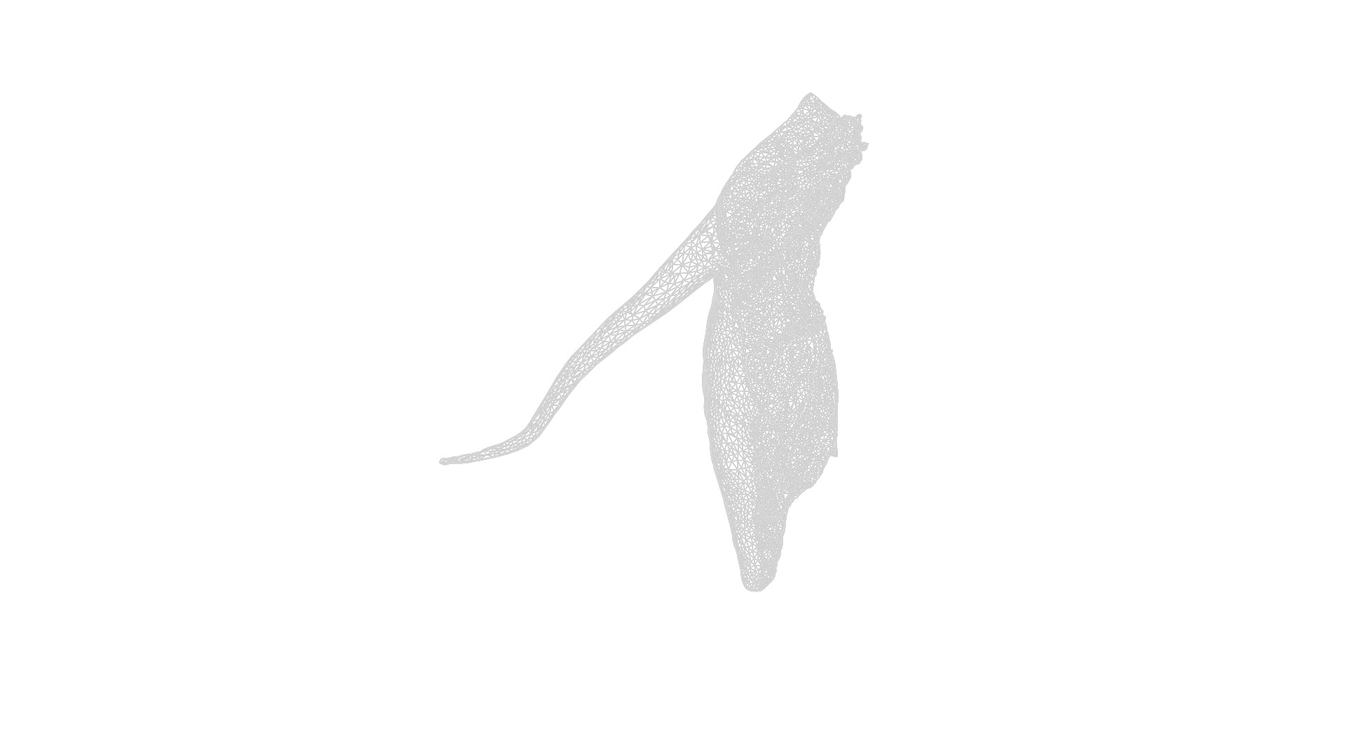 Anydrafts Pork ham 02 Low-poly 3D model_11