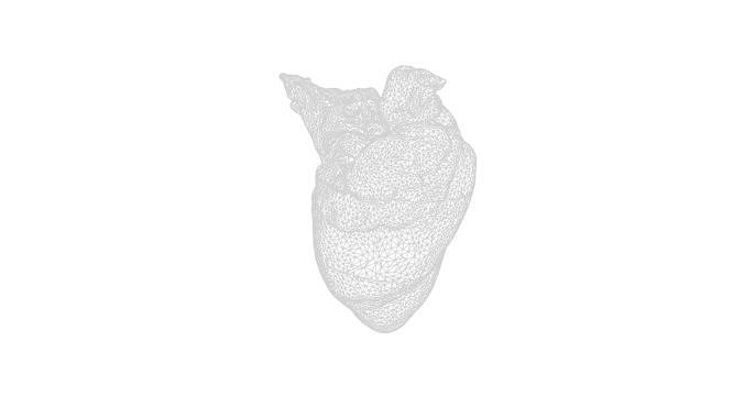 Anydrafts Pork heart 01 Low-poly 3D model 4