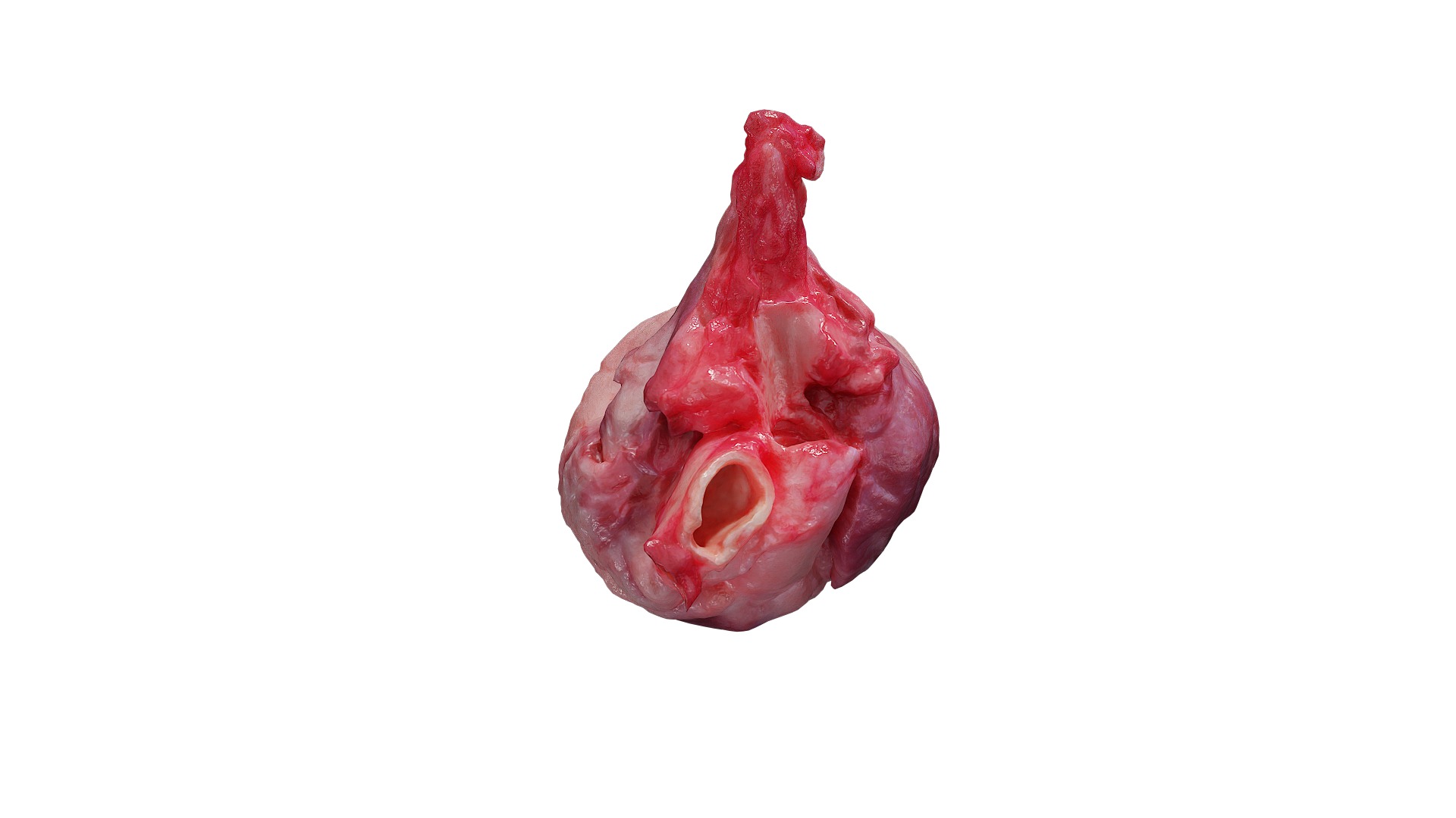 Anydrafts Pork heart 01 Low-poly 3D model_4
