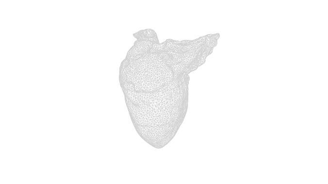 Anydrafts Pork heart 01 Low-poly 3D model 2