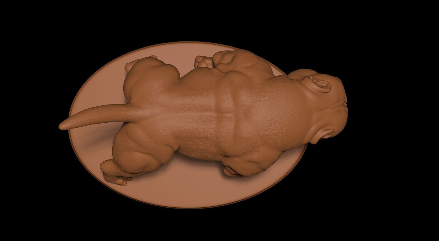 Exotic Bully 3D print model_8