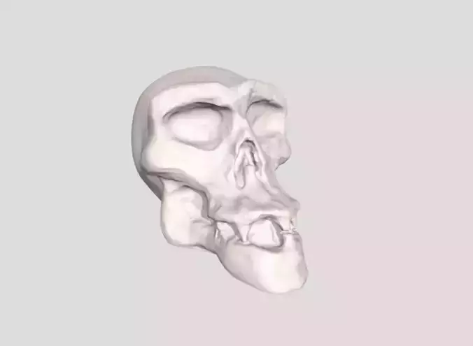 Monkey Skull