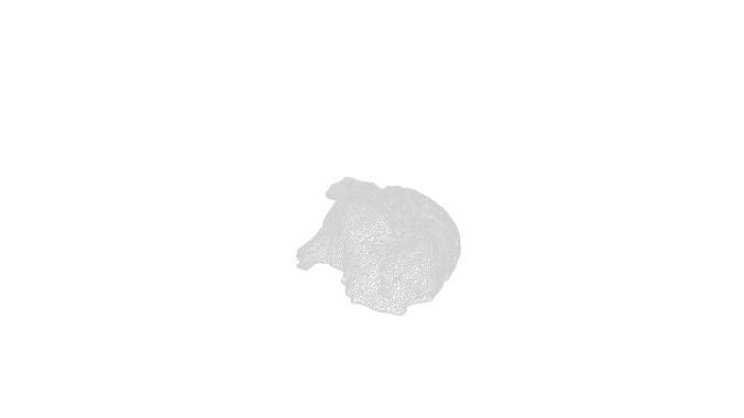 Anydrafts Pork lungs 01 Low-poly 3D model 2