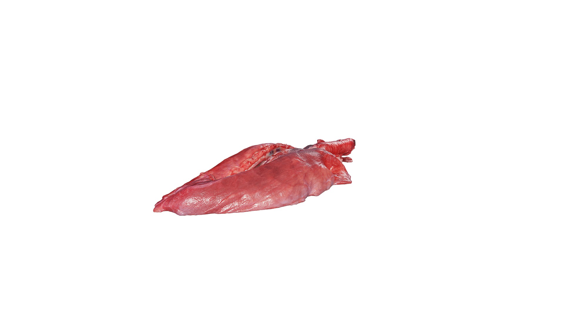 Anydrafts Pork lungs 01 Low-poly 3D model_8