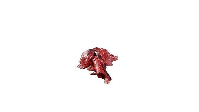 Anydrafts Pork lungs 01 Low-poly 3D model 3