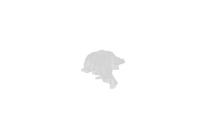 Anydrafts Pork lungs 01 Low-poly 3D model 4
