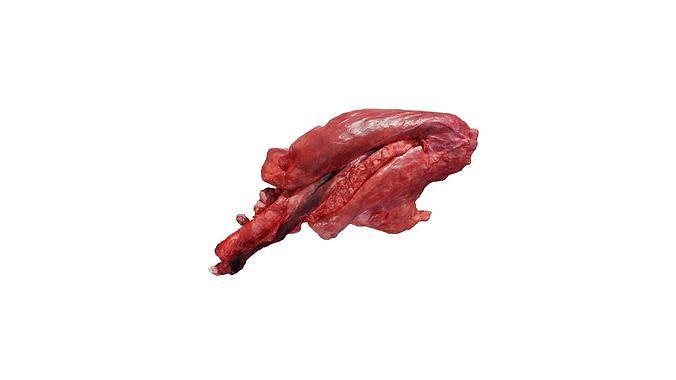 Anydrafts Pork lungs 01 Low-poly 3D model 5