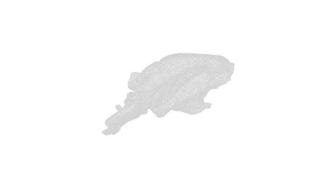 Anydrafts Pork lungs 01 Low-poly 3D model 6