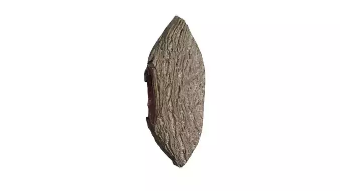 Anydrafts Ginkgo biloba Burl 03 Low-poly 3D model