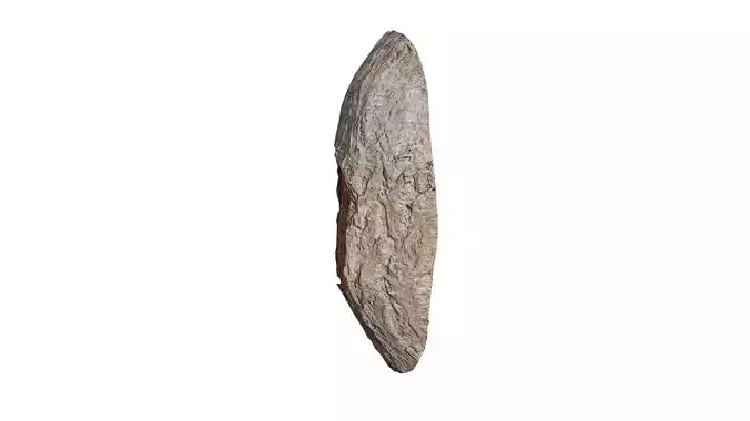 Anydrafts Ginkgo biloba Burl 05 Low-poly 3D model