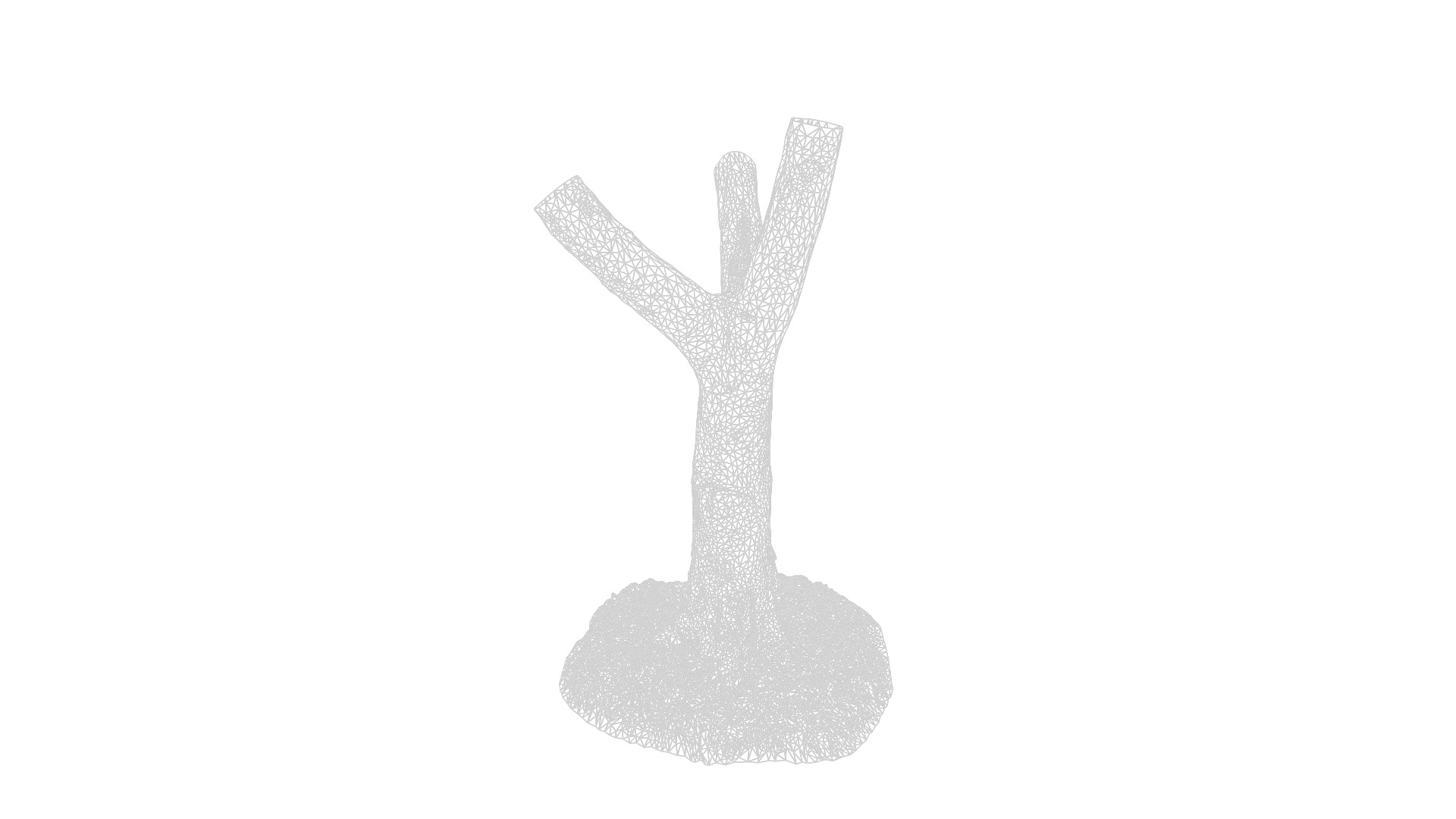 Anydrafts Cinnamomum burmannii Trunk 19 Low-poly 3D model_3