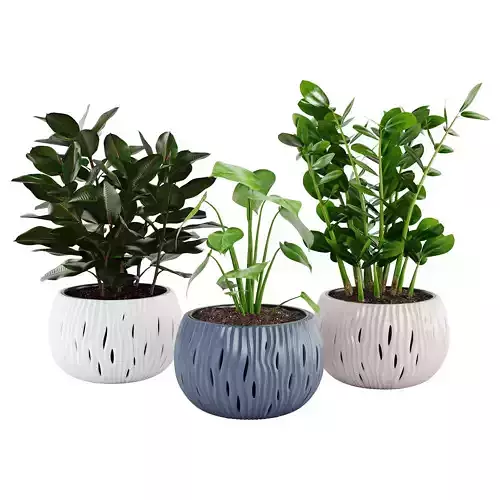 Houseplant 91 Prosperplast Sandy Bowl 3D model
