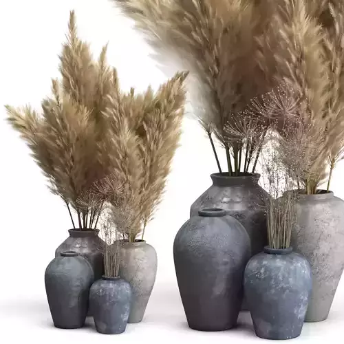 Decorative set of Clay Vases and Pampas Grass