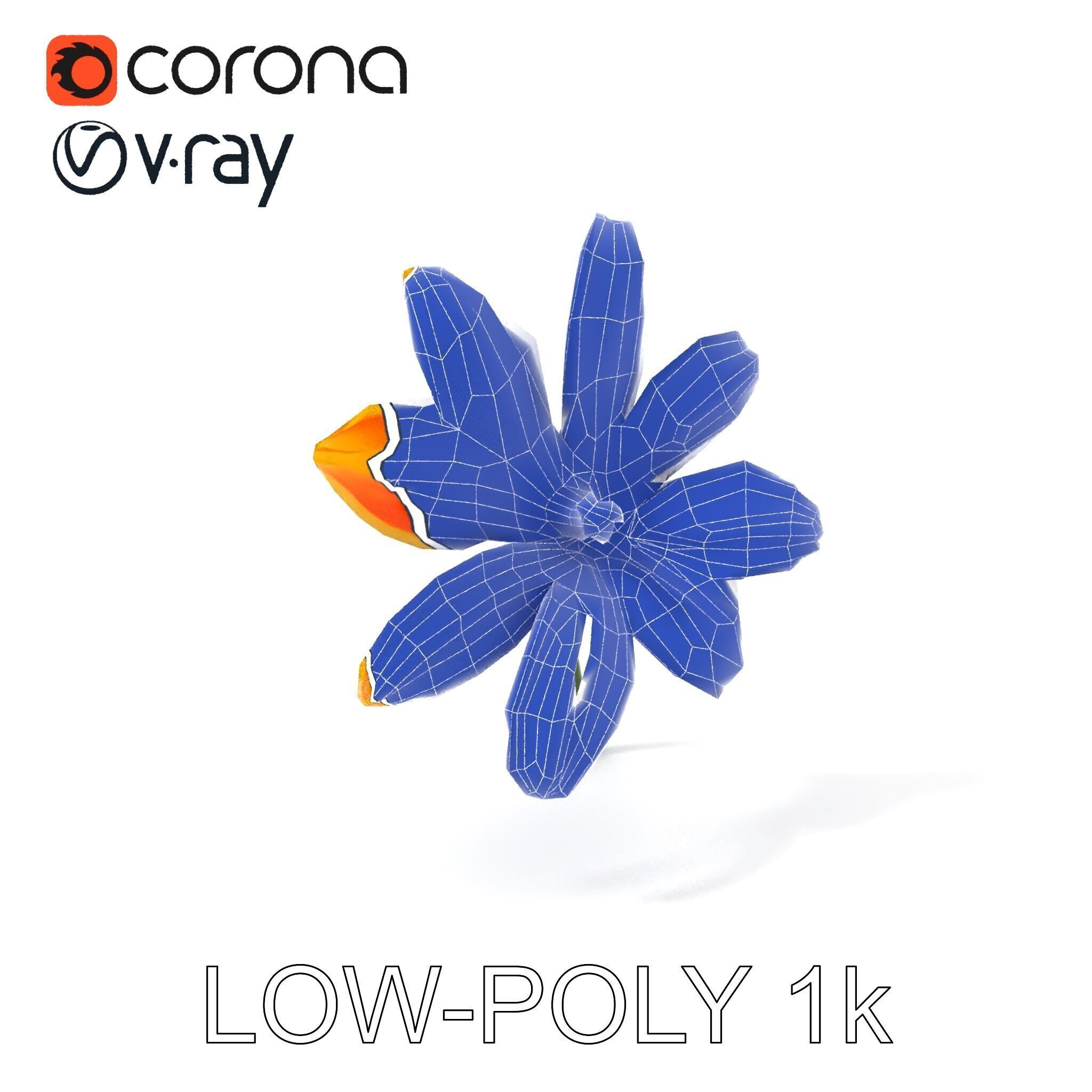 Vibrant Orange Flower Model Pack for D Rendering Low-poly 3D model_34
