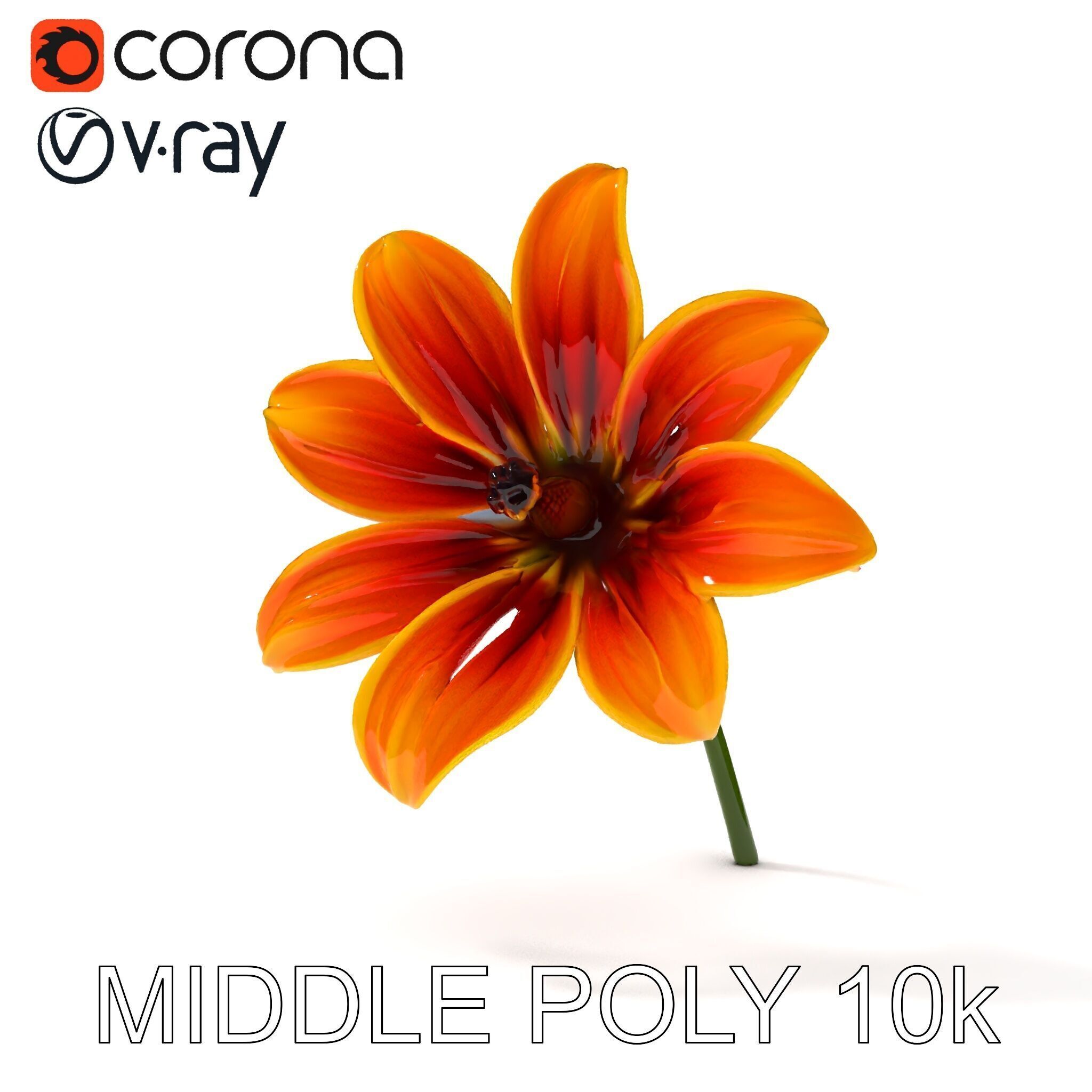 Vibrant Orange Flower Model Pack for D Rendering Low-poly 3D model_6