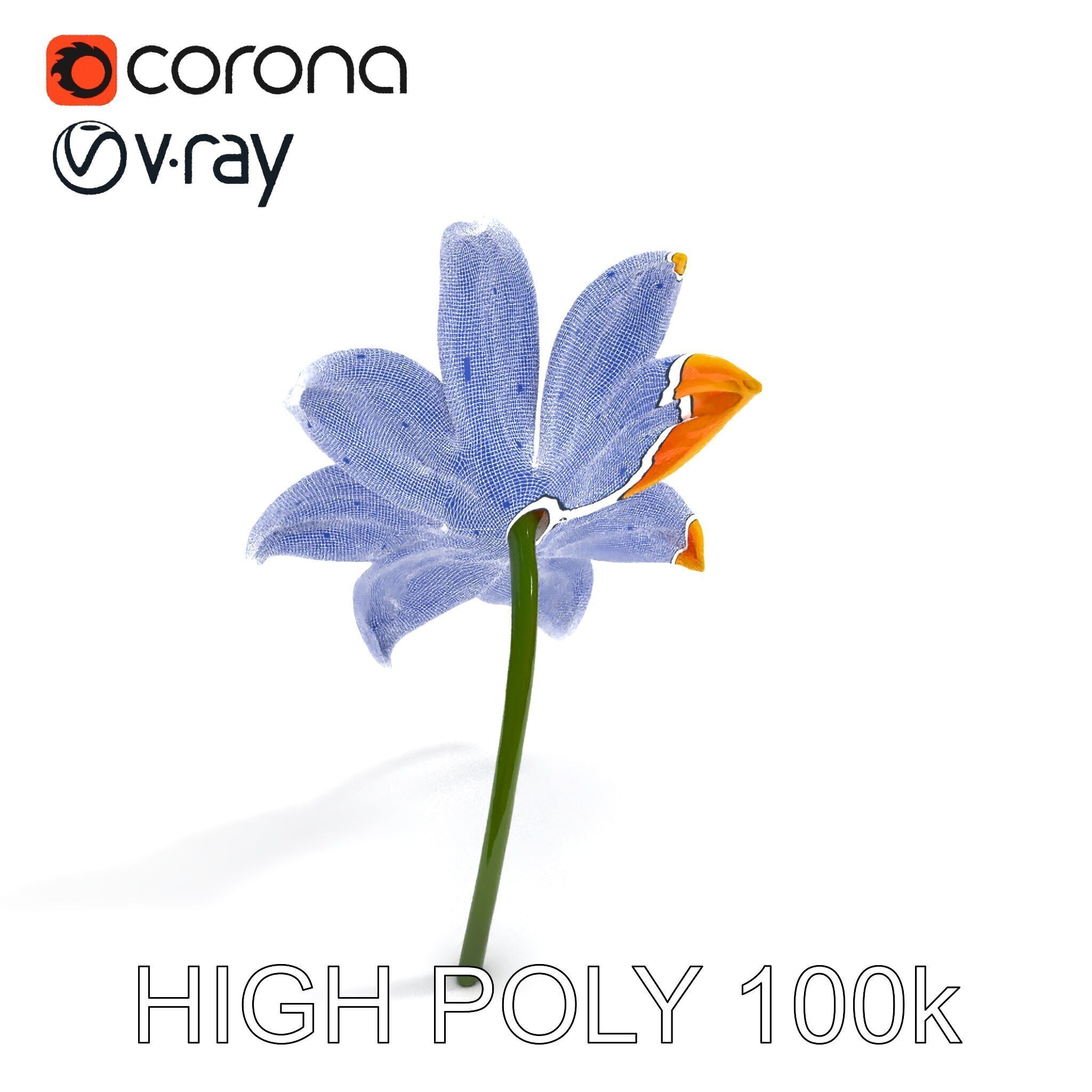 Vibrant Orange Flower Model Pack for D Rendering Low-poly 3D model_29