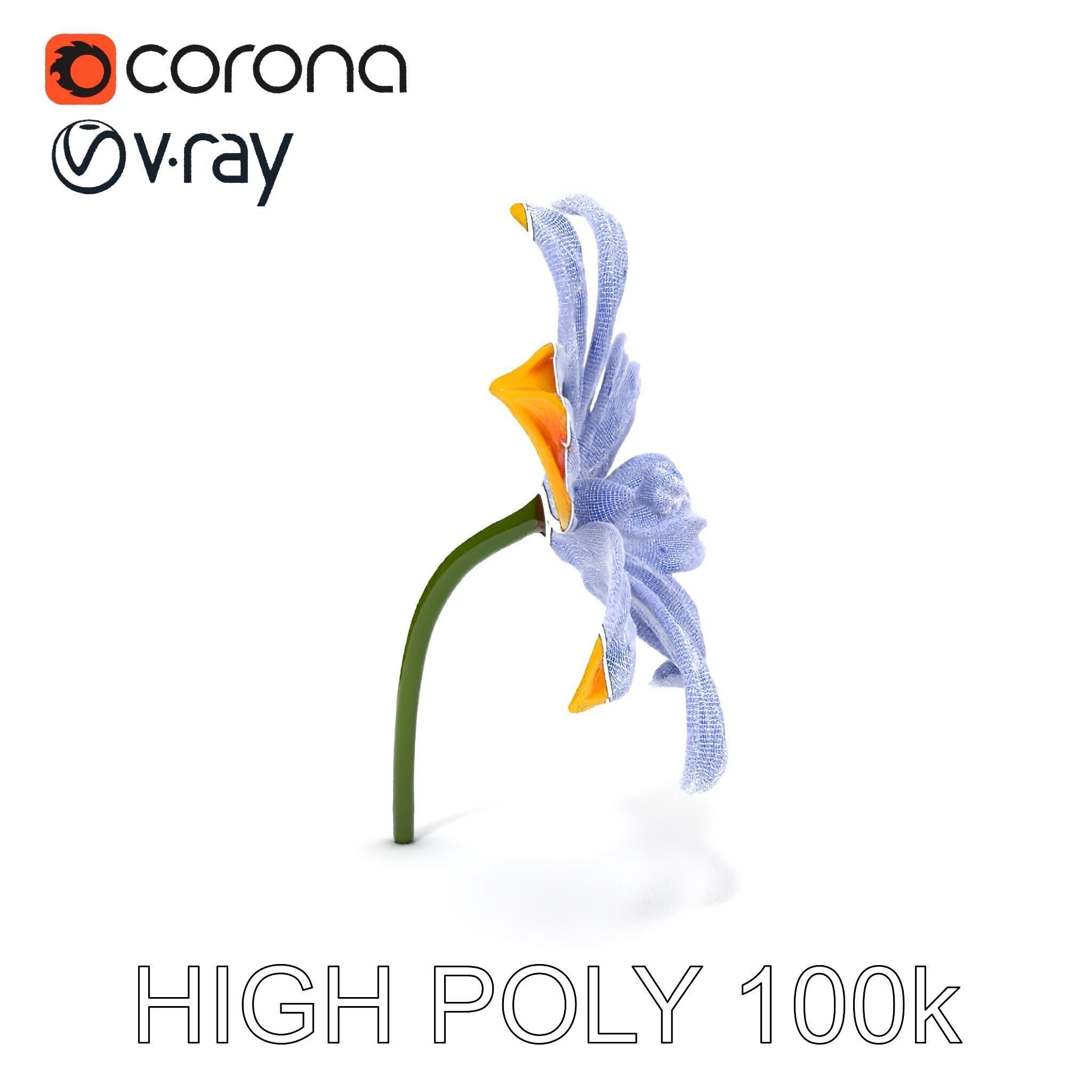 Vibrant Orange Flower Model Pack for D Rendering Low-poly 3D model_26