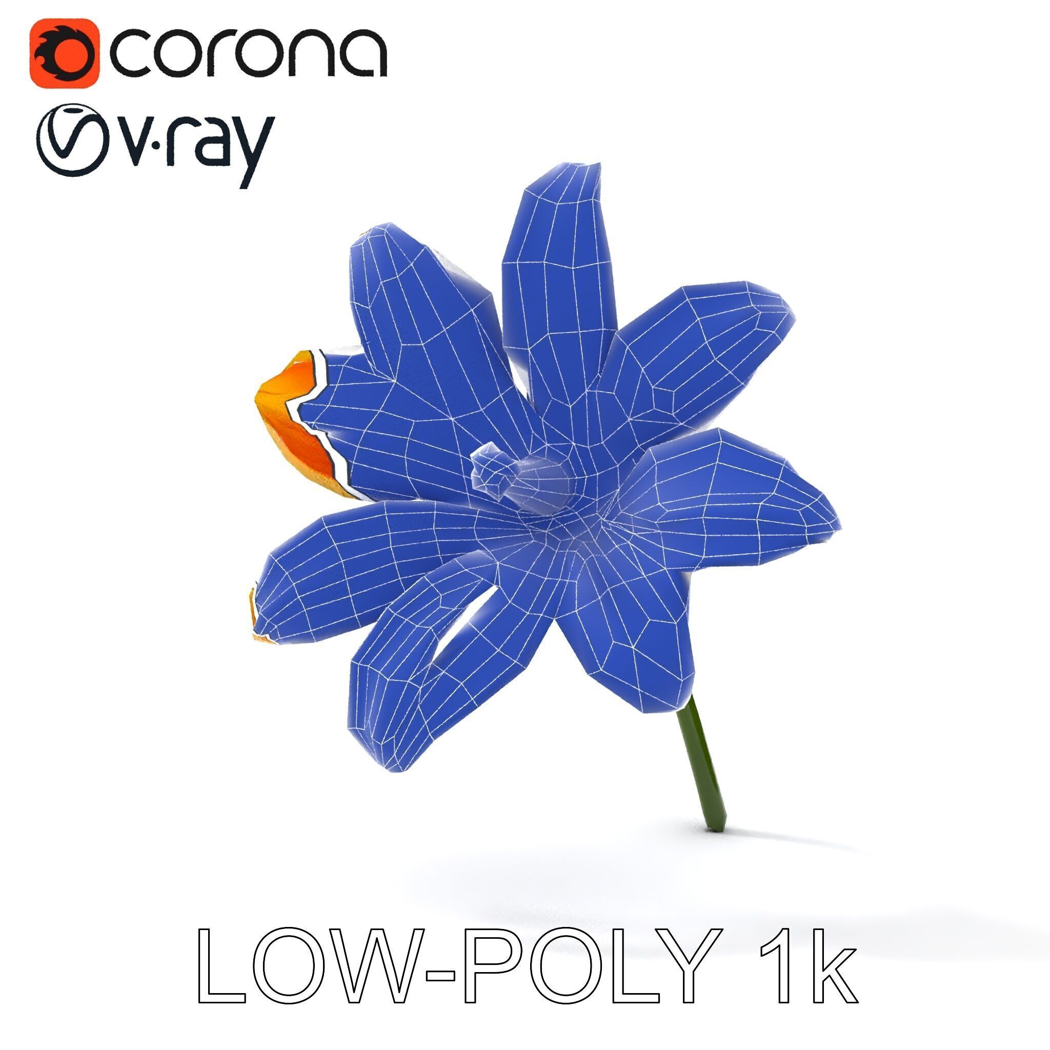Vibrant Orange Flower Model Pack for D Rendering Low-poly 3D model_31