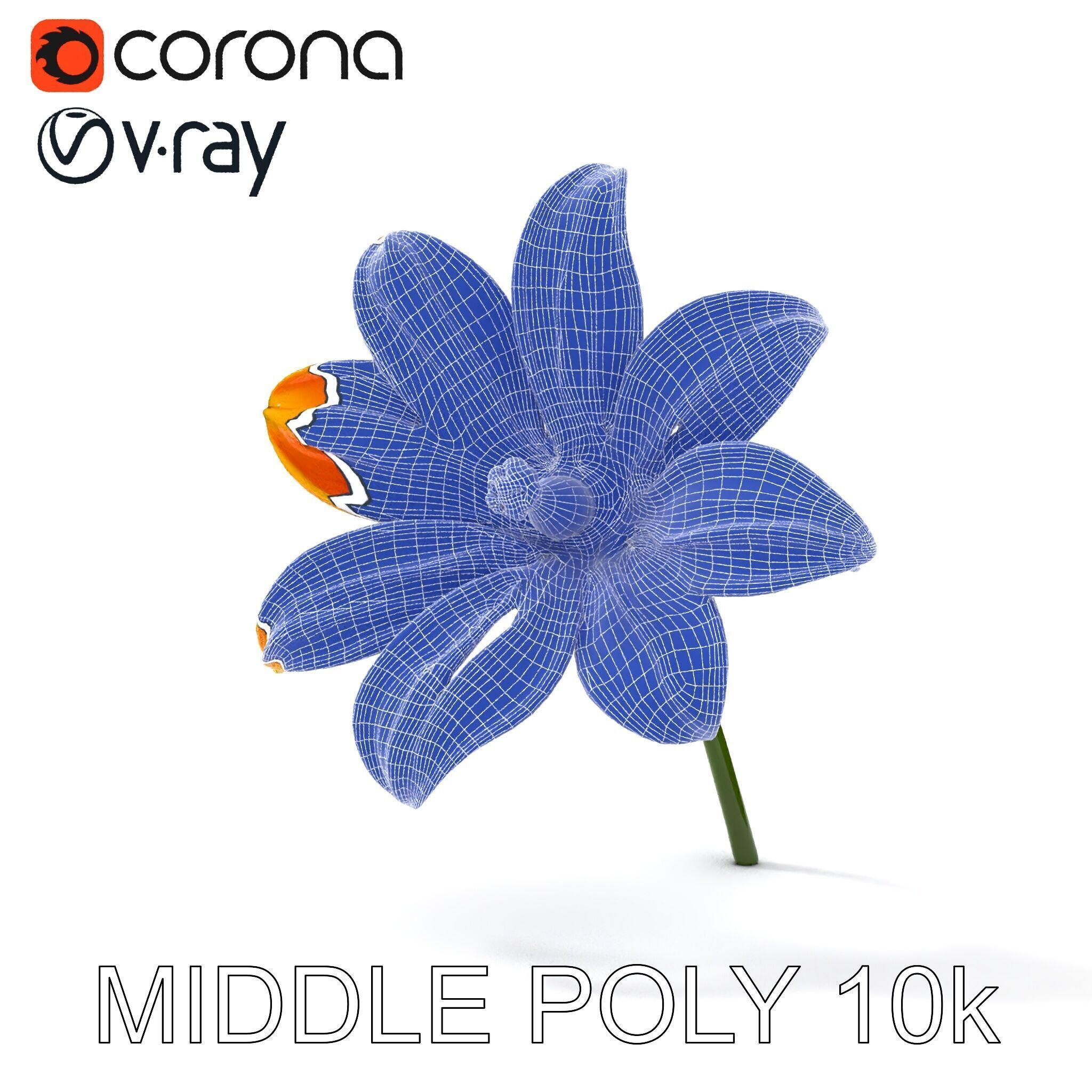 Vibrant Orange Flower Model Pack for D Rendering Low-poly 3D model_16