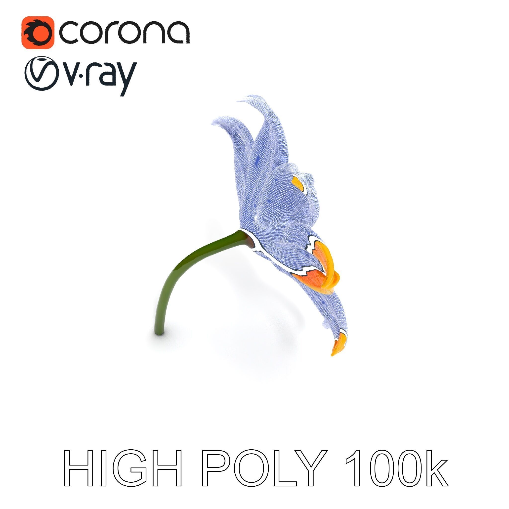 Vibrant Orange Flower Model Pack for D Rendering Low-poly 3D model_21