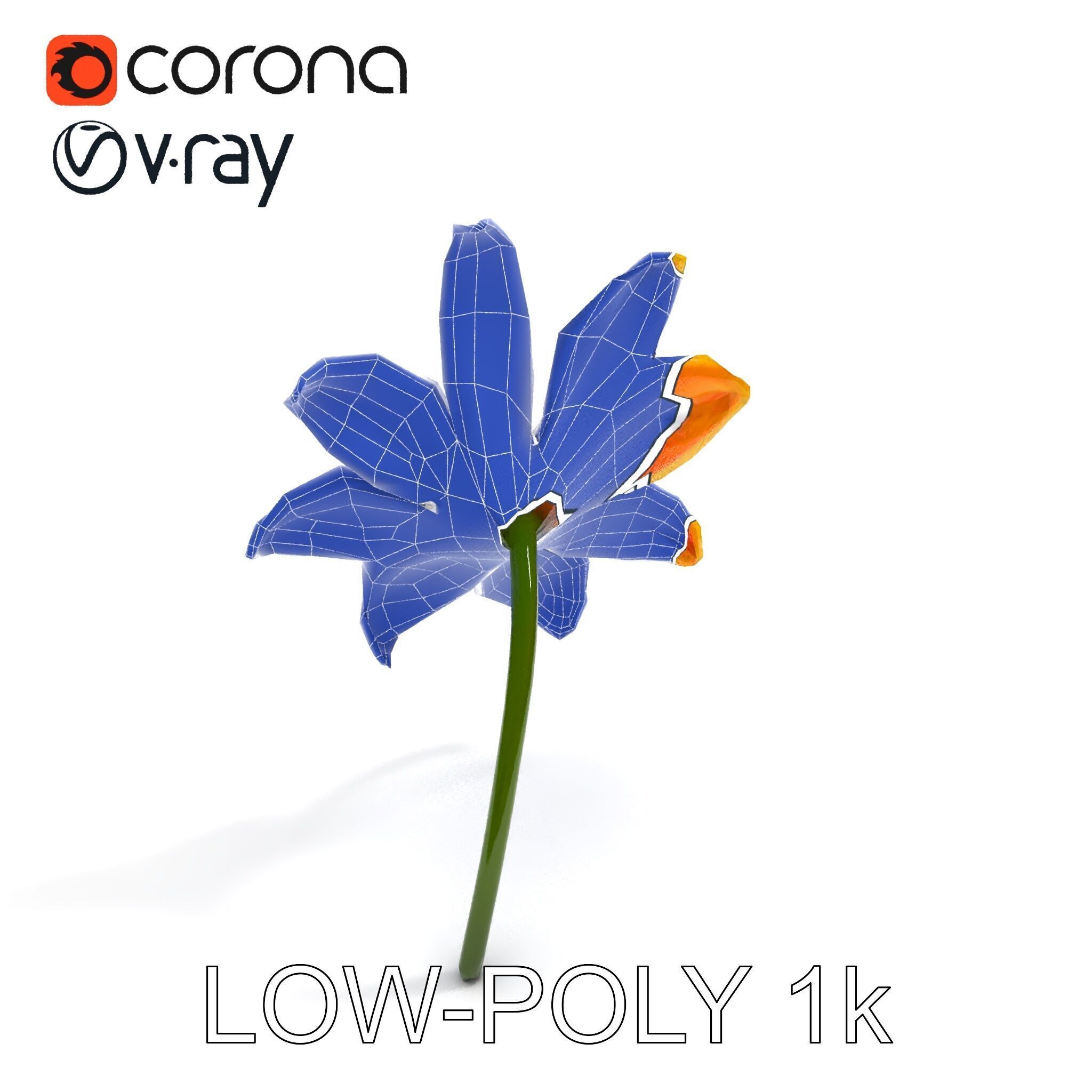 Vibrant Orange Flower Model Pack for D Rendering Low-poly 3D model_14