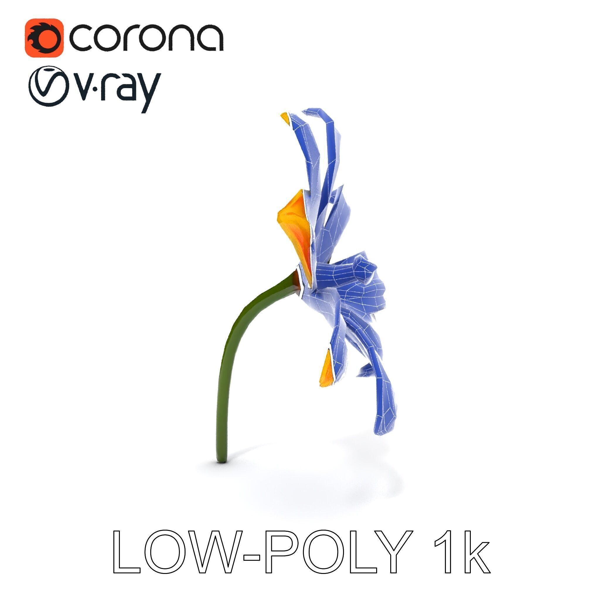 Vibrant Orange Flower Model Pack for D Rendering Low-poly 3D model_7