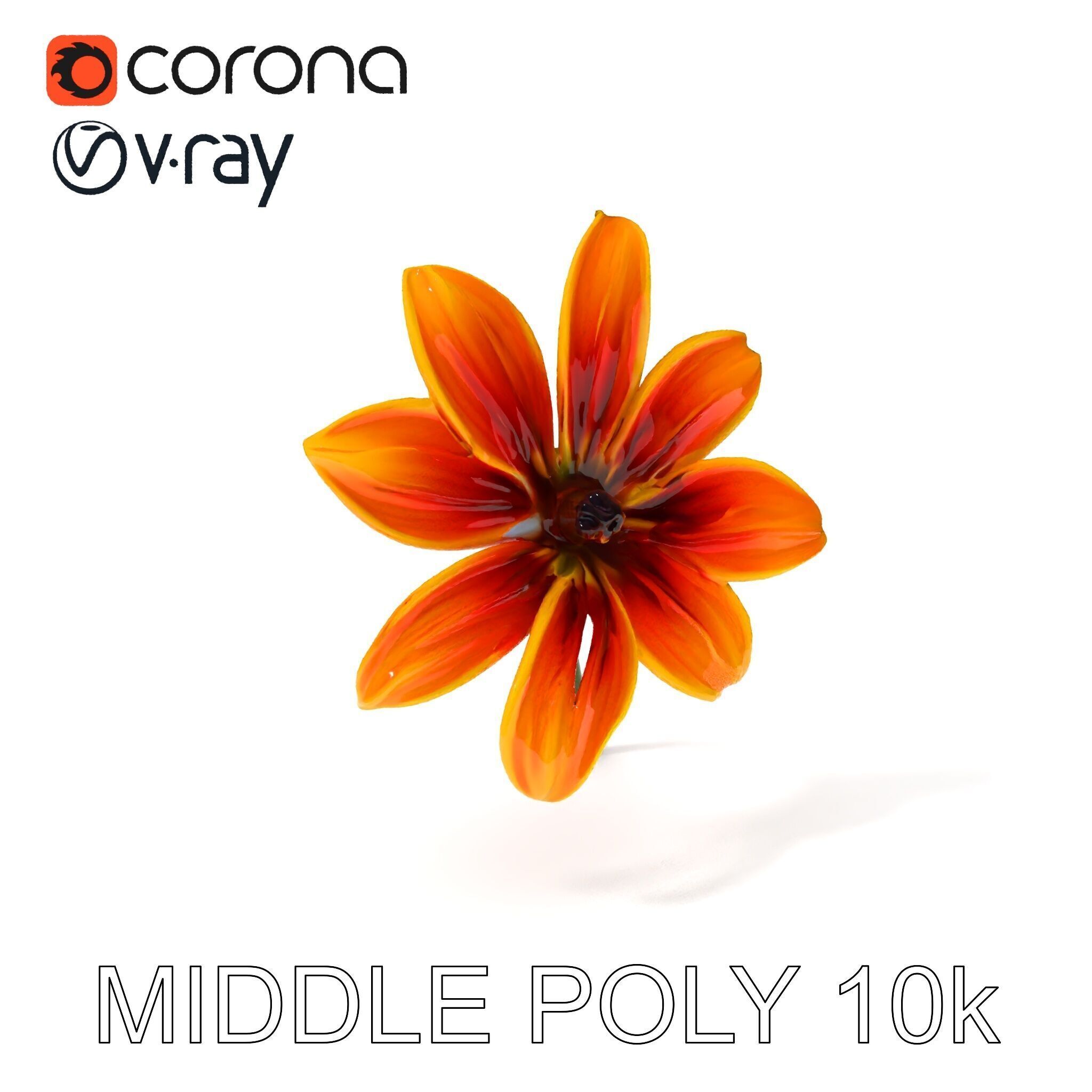 Vibrant Orange Flower Model Pack for D Rendering Low-poly 3D model_9
