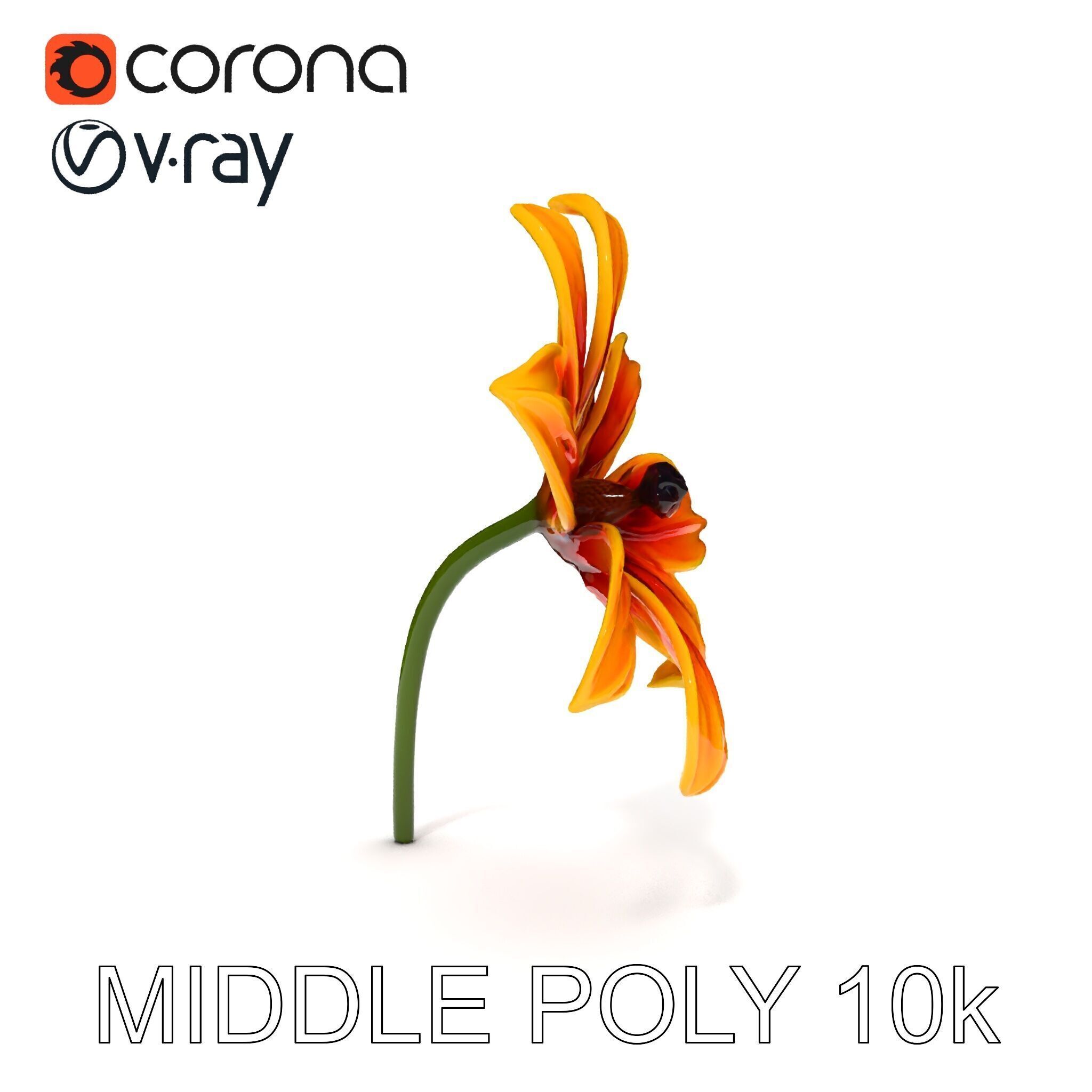 Vibrant Orange Flower Model Pack for D Rendering Low-poly 3D model_24