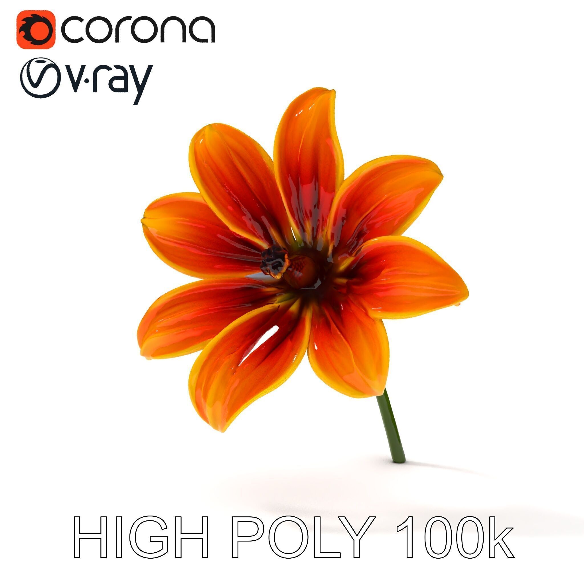 Vibrant Orange Flower Model Pack for D Rendering Low-poly 3D model_8