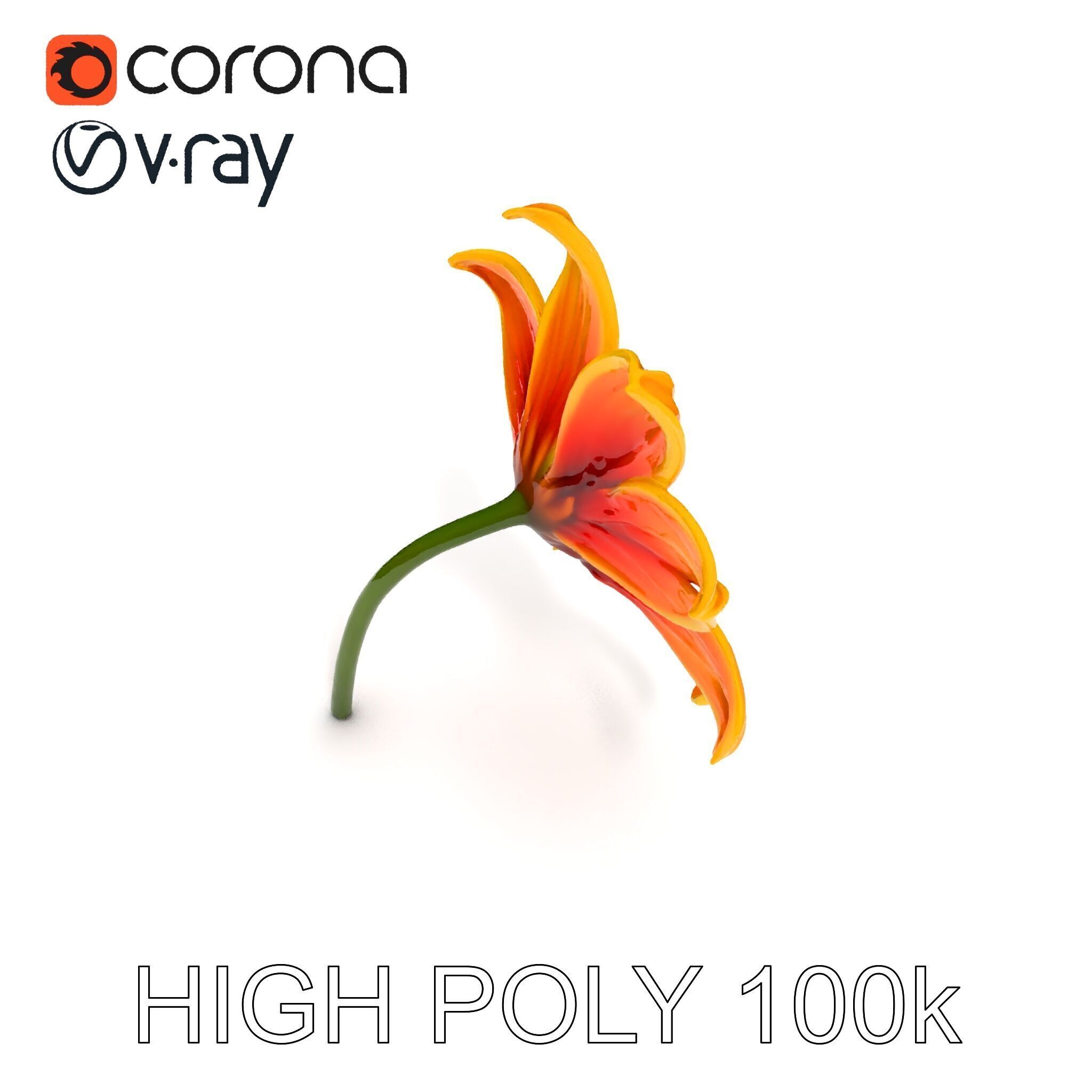 Vibrant Orange Flower Model Pack for D Rendering Low-poly 3D model_32