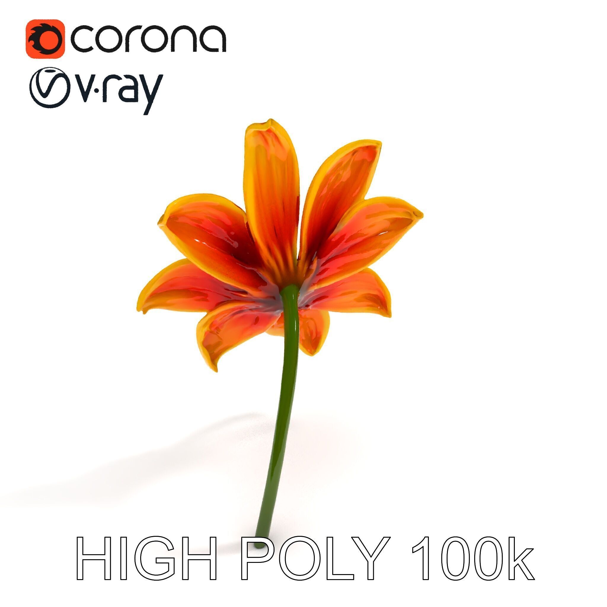 Vibrant Orange Flower Model Pack for D Rendering Low-poly 3D model_15