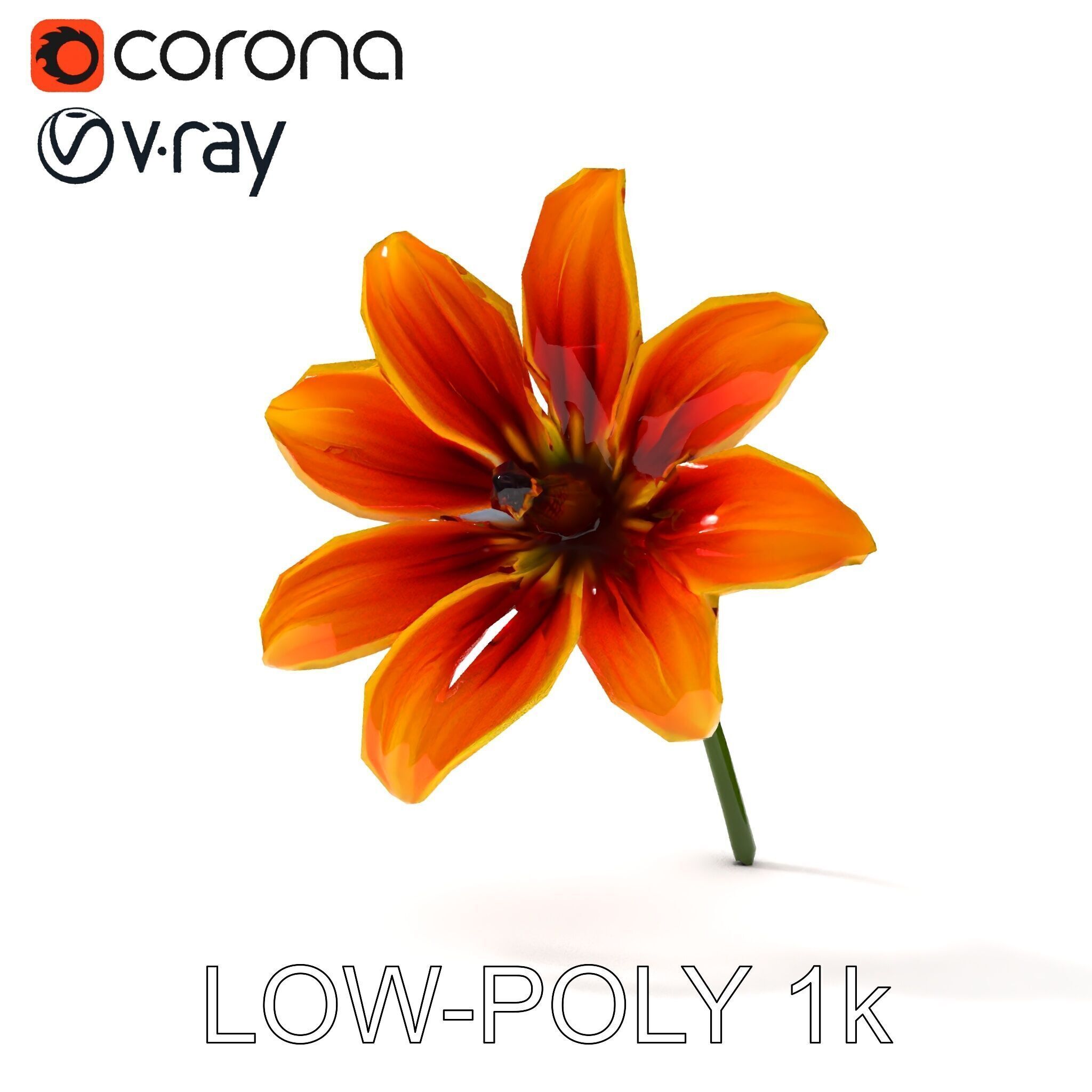 Vibrant Orange Flower Model Pack for D Rendering Low-poly 3D model_25
