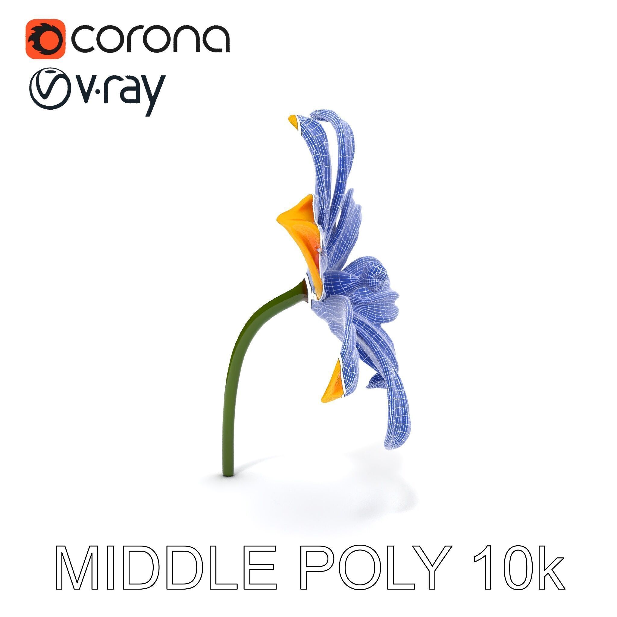 Vibrant Orange Flower Model Pack for D Rendering Low-poly 3D model_30