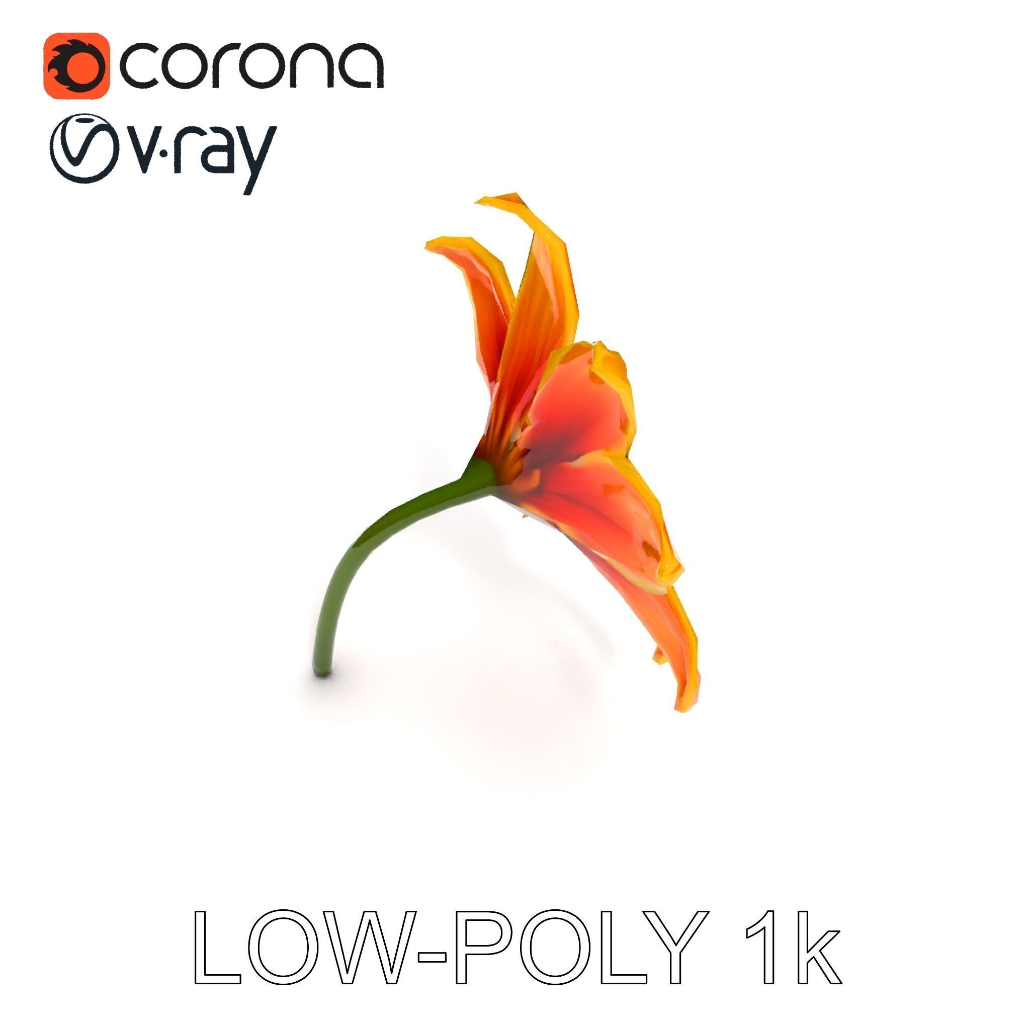 Vibrant Orange Flower Model Pack for D Rendering Low-poly 3D model_17