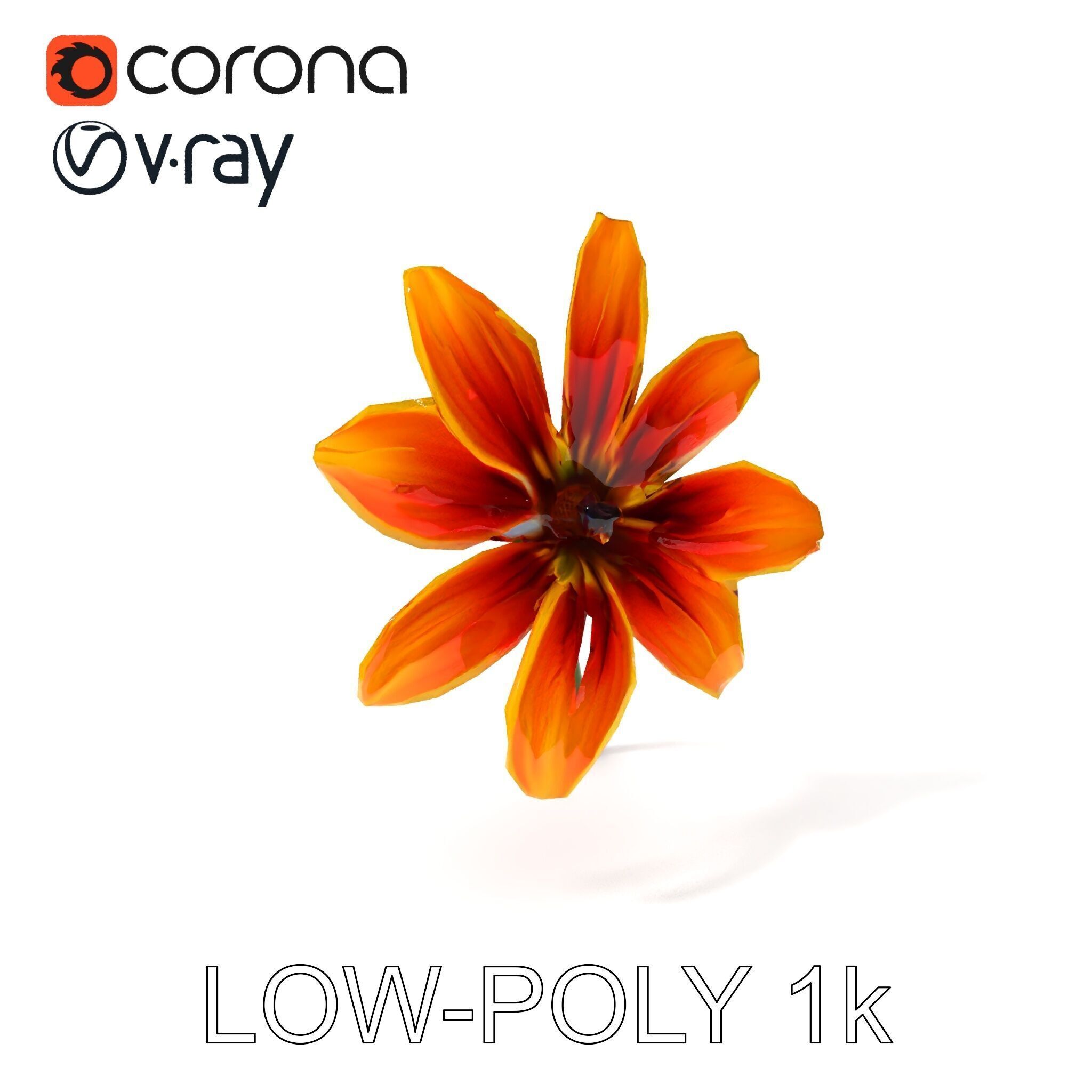 Vibrant Orange Flower Model Pack for D Rendering Low-poly 3D model_28