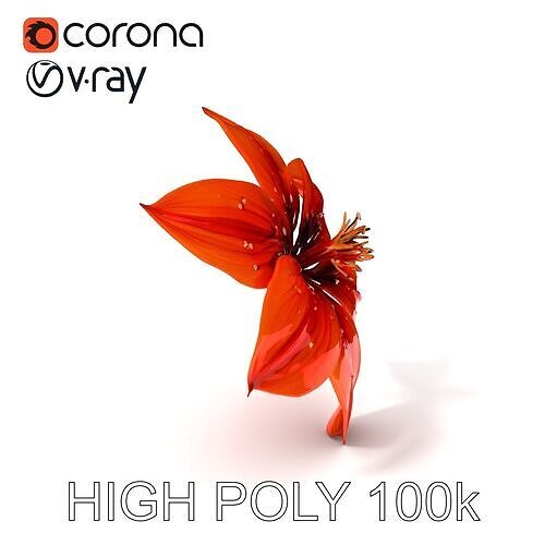 Realistic Orange Lily Flower D Model Pack Low-poly 3D model