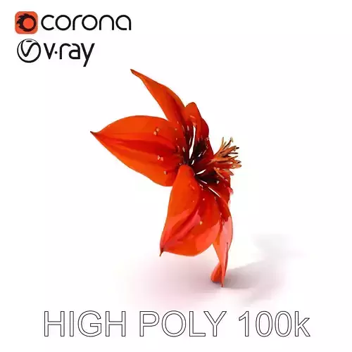 Realistic Orange Lily Flower D Model Pack