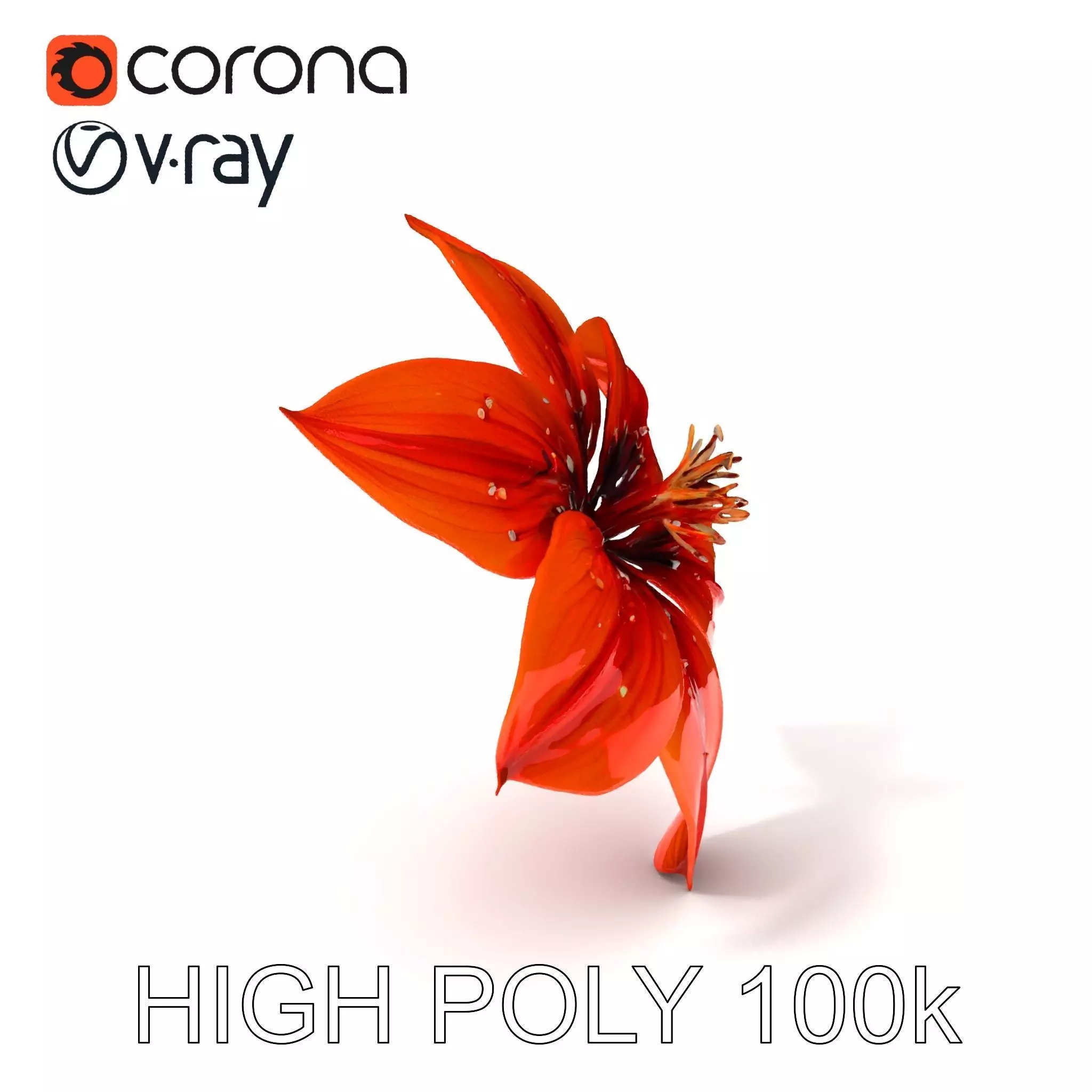 Realistic Orange Lily Flower D Model Pack Low-poly 3D model_0