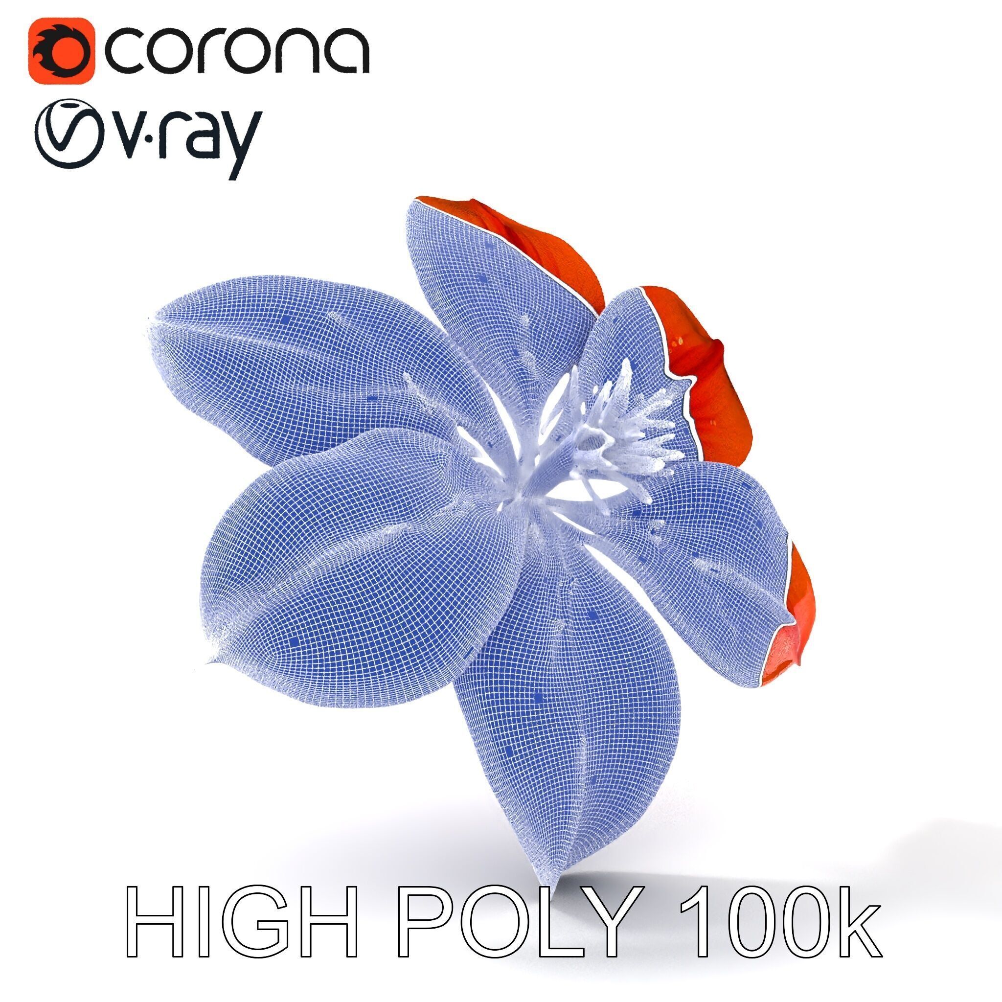 Realistic Orange Lily Flower D Model Pack Low-poly 3D model_16