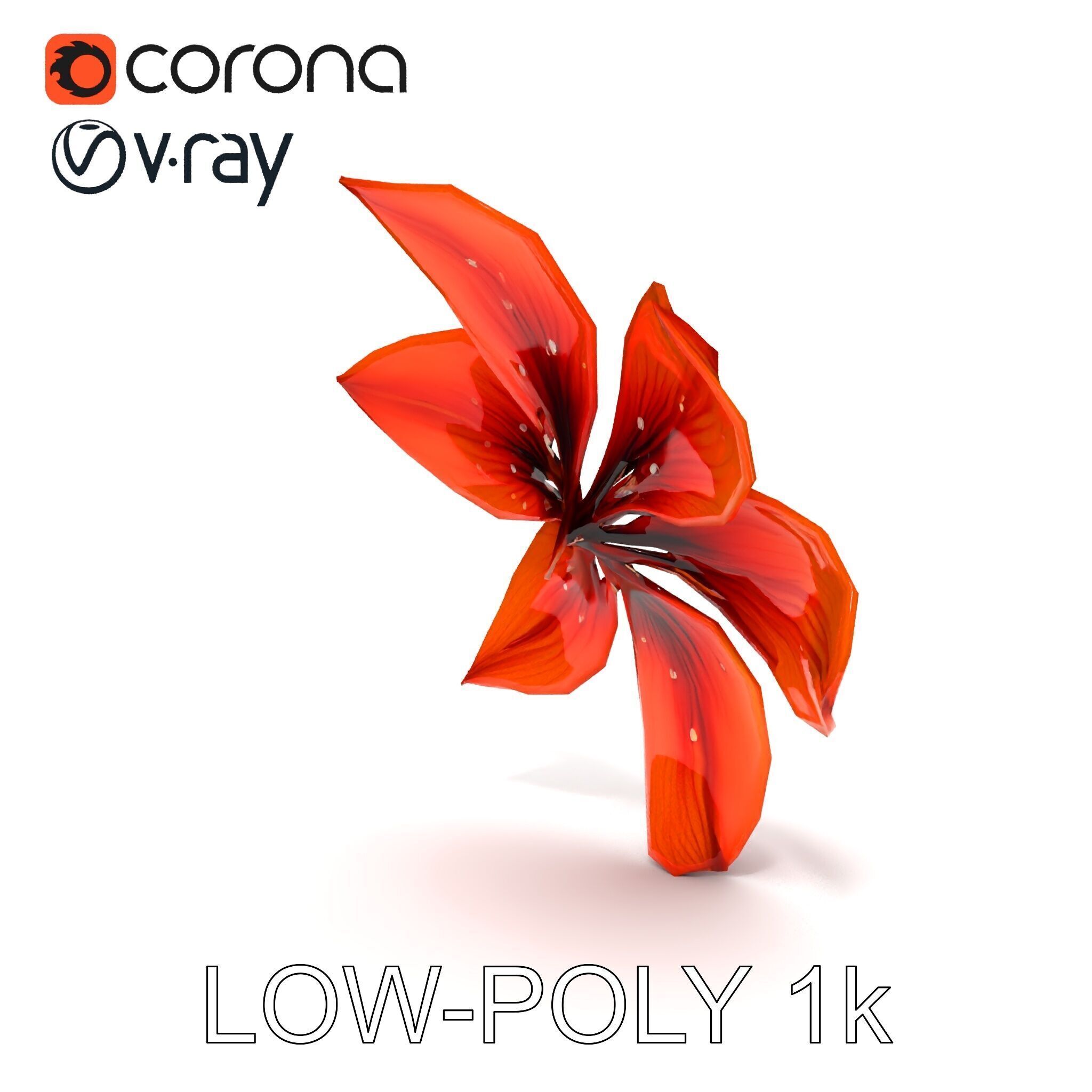 Realistic Orange Lily Flower D Model Pack Low-poly 3D model_9
