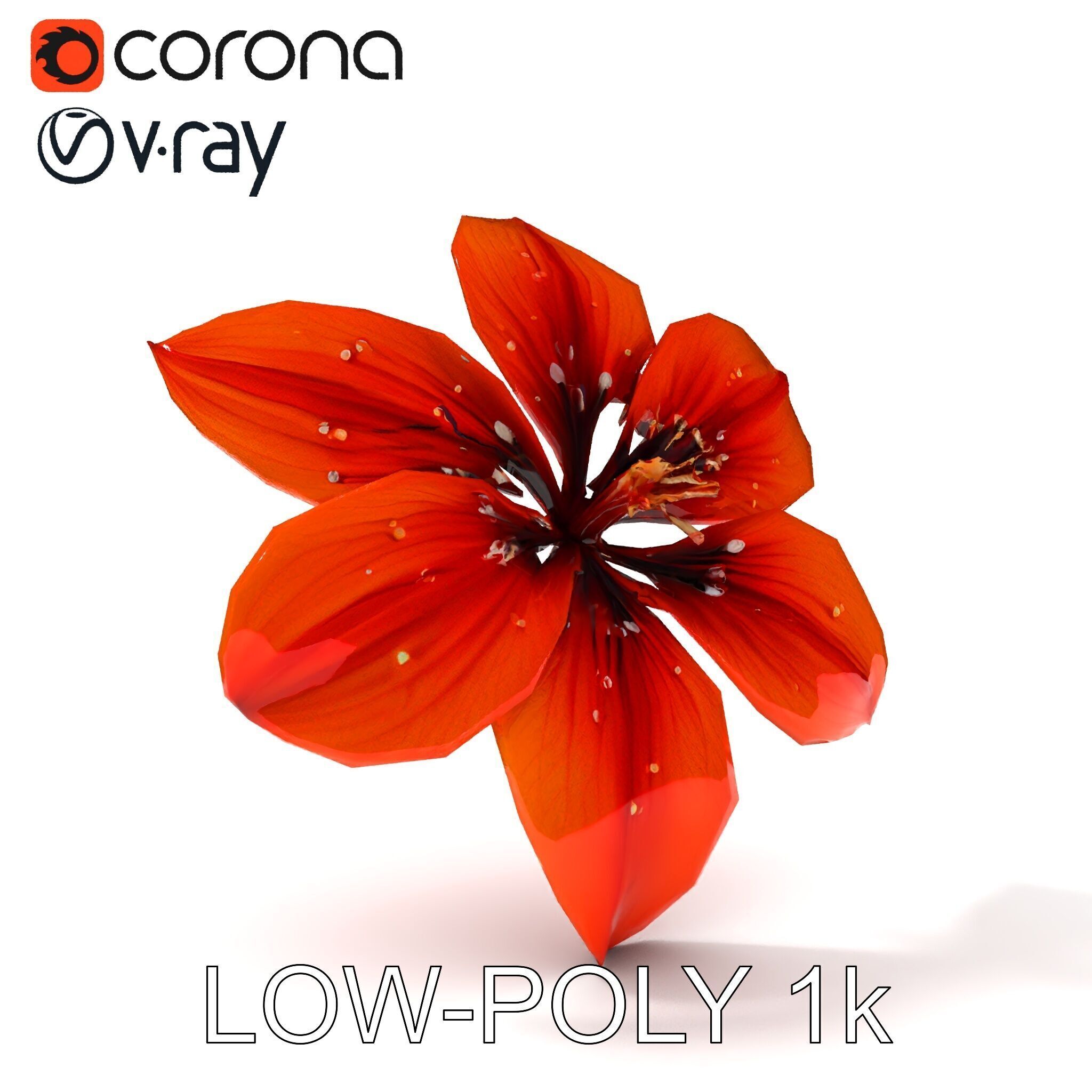 Realistic Orange Lily Flower D Model Pack Low-poly 3D model_18