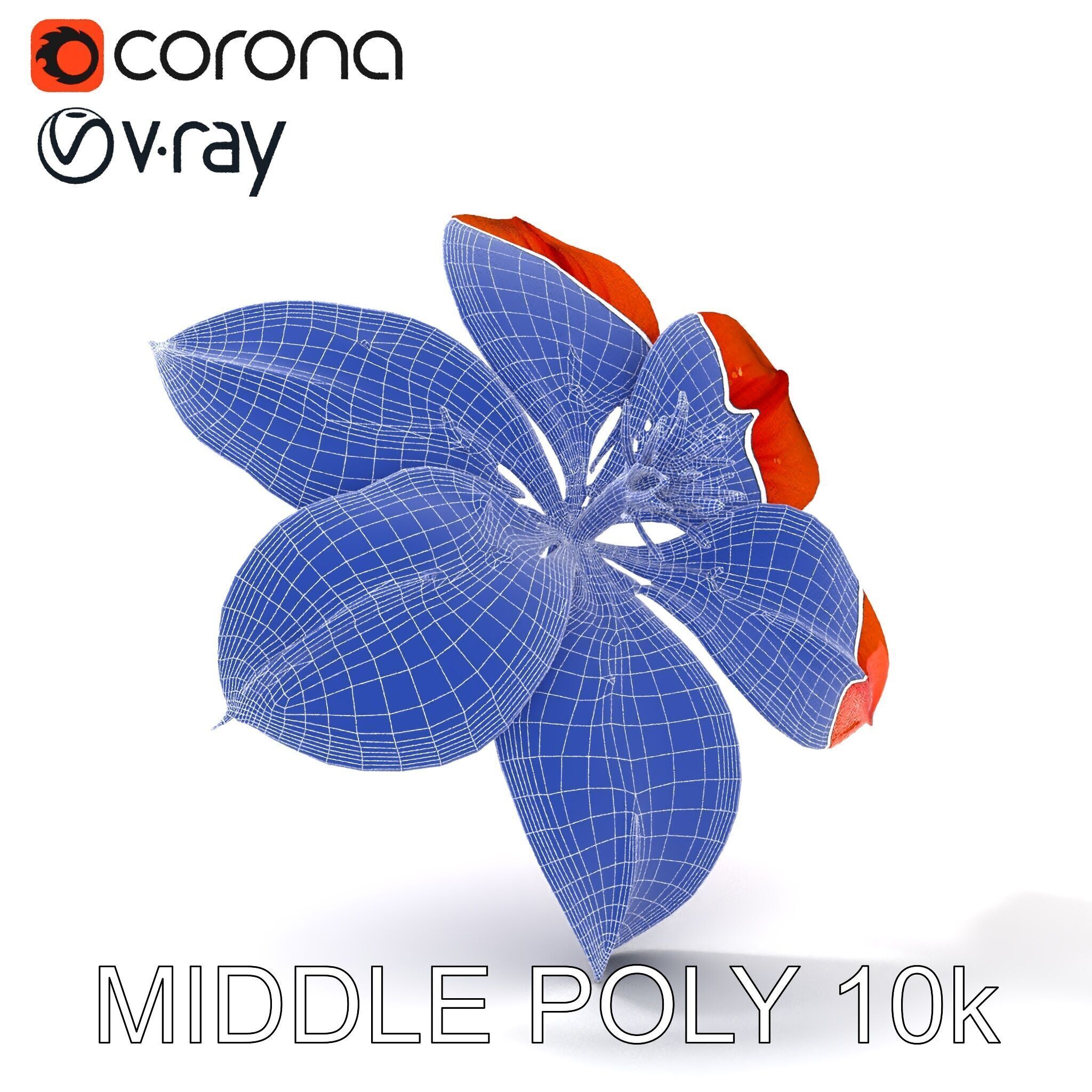 Realistic Orange Lily Flower D Model Pack Low-poly 3D model_14