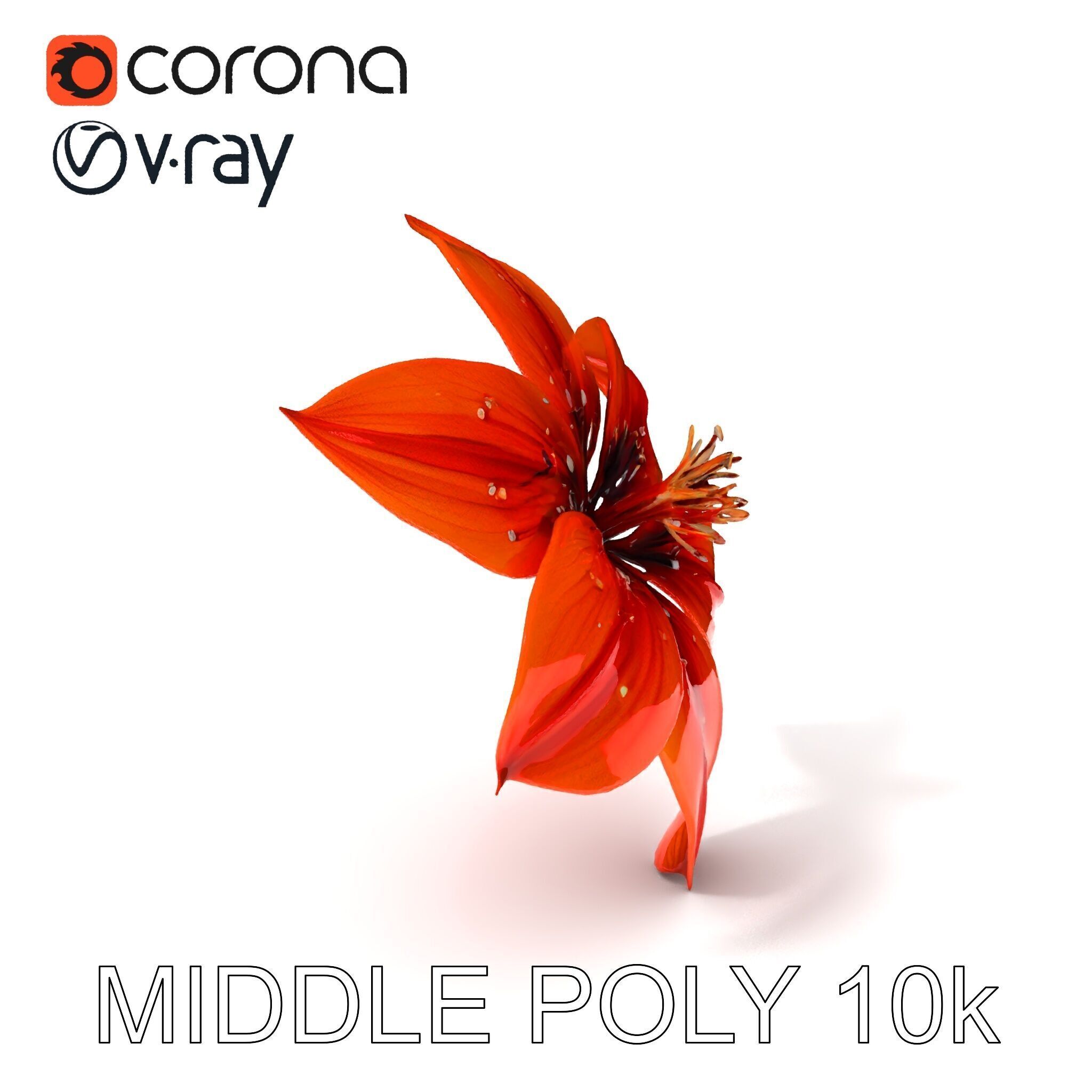 Realistic Orange Lily Flower D Model Pack Low-poly 3D model_28